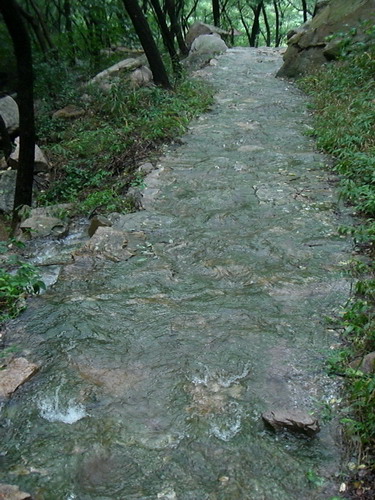 CIMG8623_调整大小.jpg