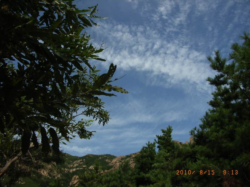 RIMG0012.JPG