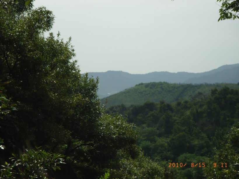 RIMG0008.JPG