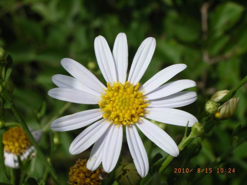 RIMG0101.JPG