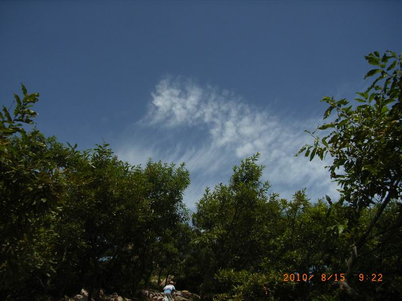 RIMG0025.JPG