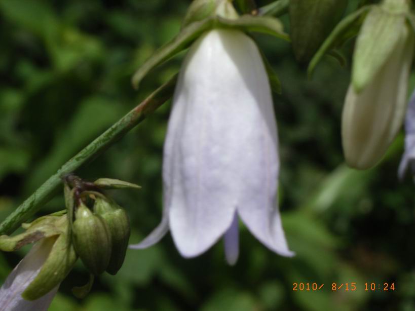 RIMG0102.JPG