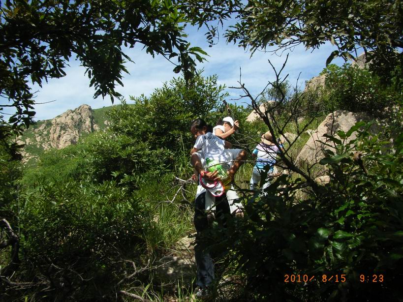 RIMG0027.JPG