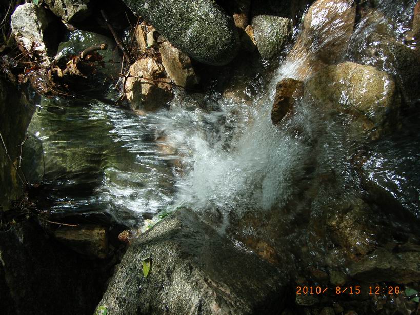 RIMG0217.JPG