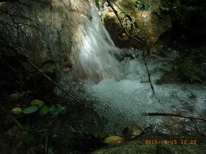 RIMG0215.JPG