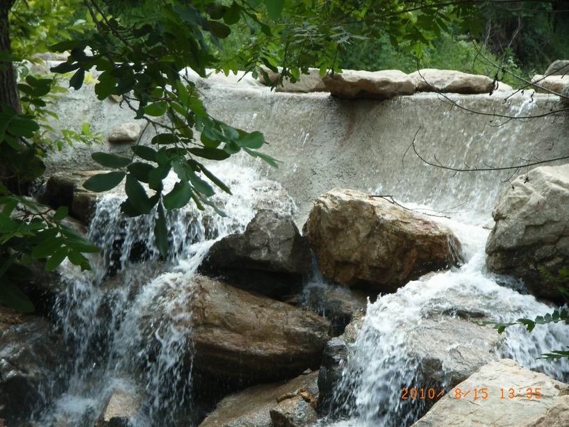 RIMG0263.JPG
