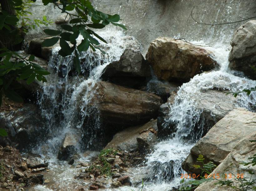 RIMG0265.JPG