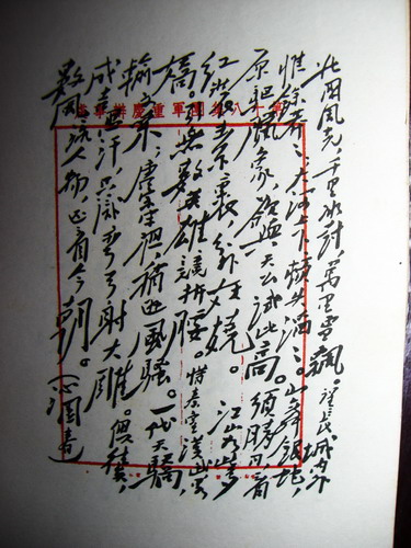 CIMG8669_调整大小.JPG