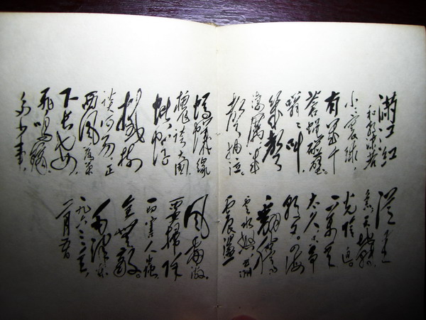 CIMG8678_调整大小.JPG