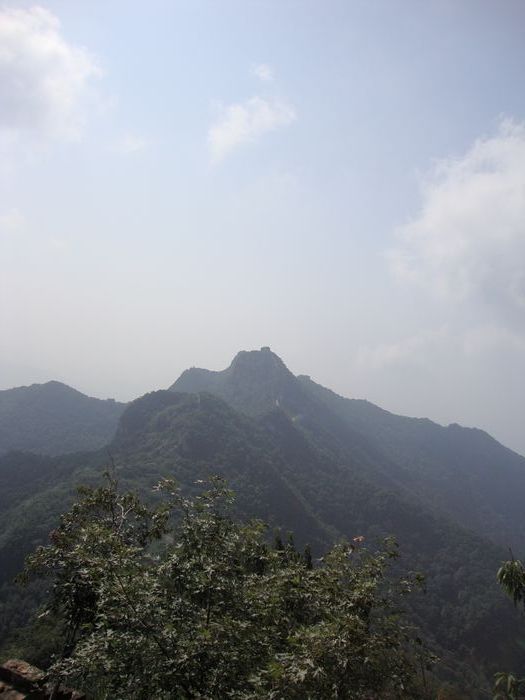nEO_IMG_DSC09925.jpg