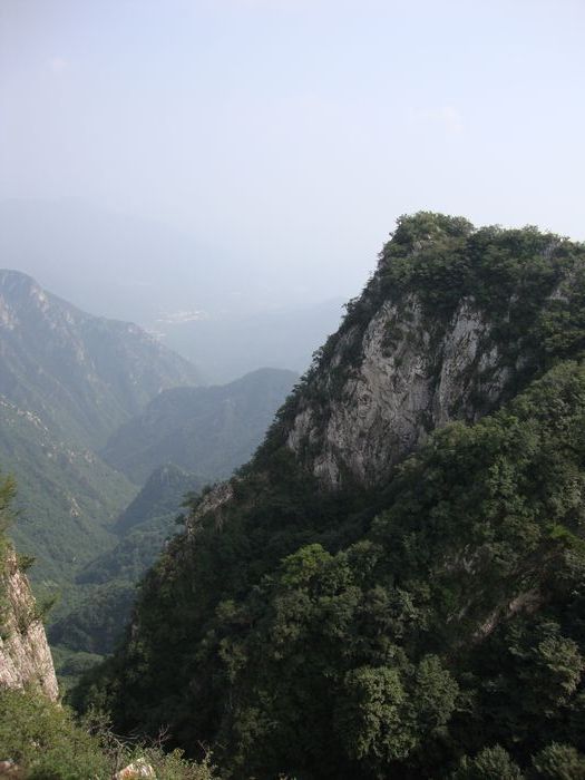 天梯就在眼前