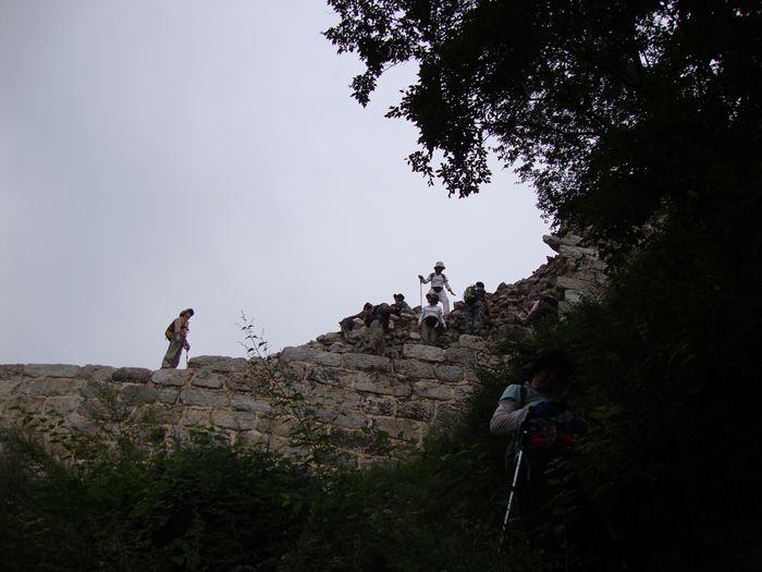 nEO_IMG_DSC00081.jpg