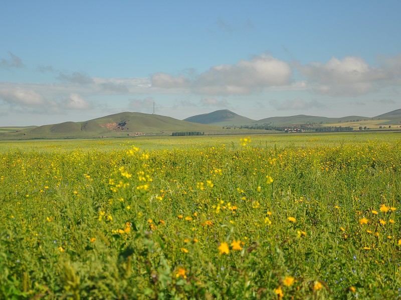 PhotoCap_1112.jpg