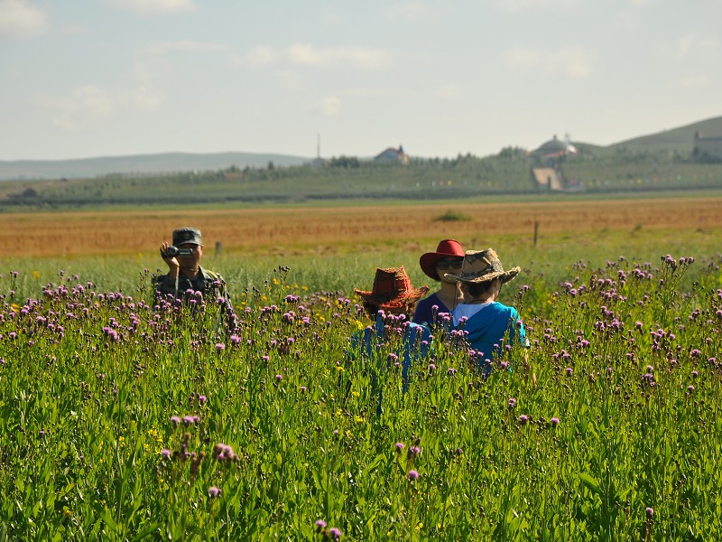 PhotoCap_1119.jpg
