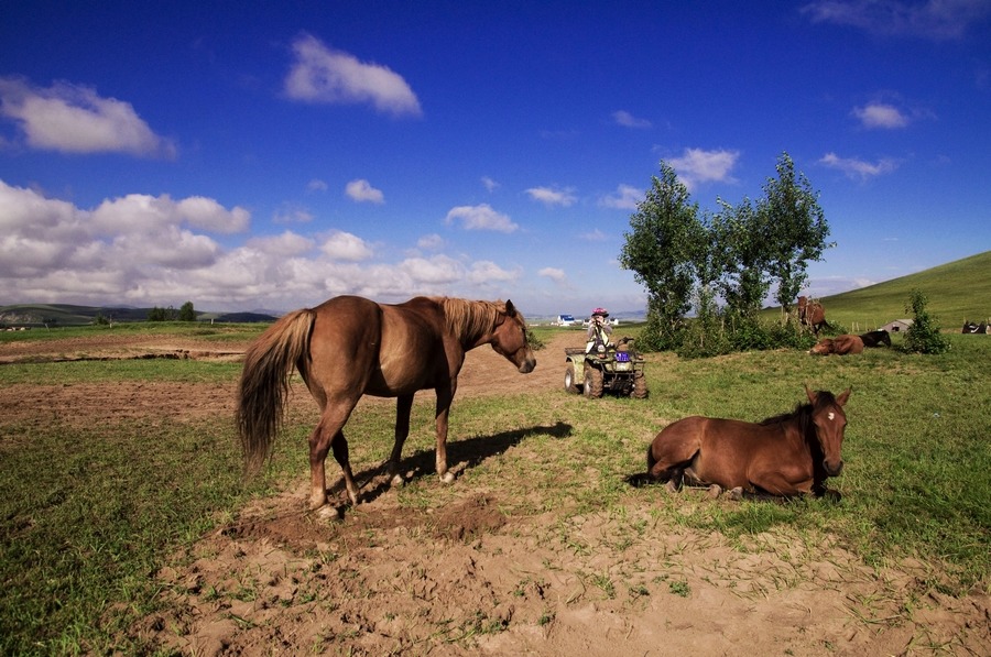 DSC_5913.jpg
