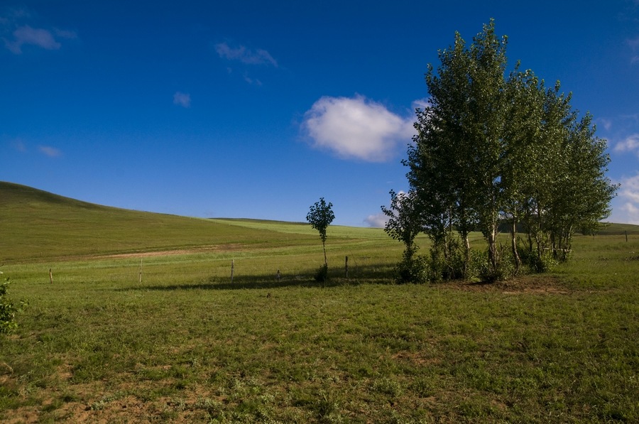 DSC_5916.jpg