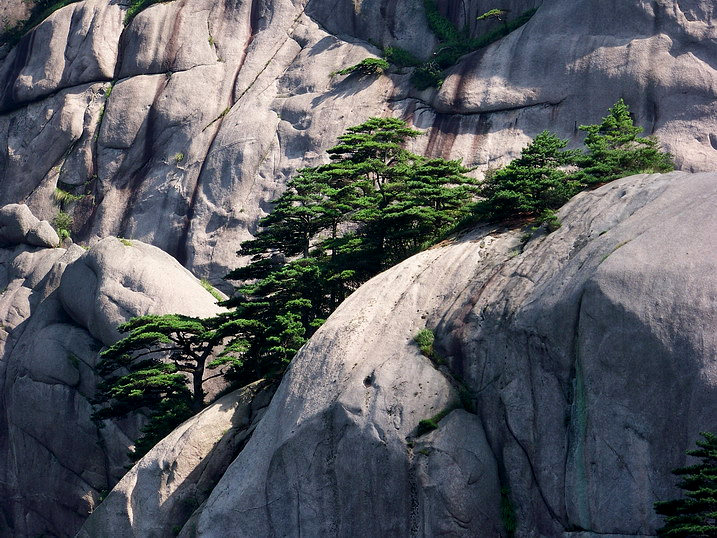118_9587_缩小大小.JPG