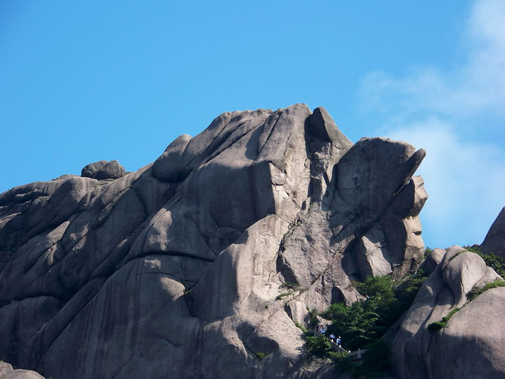 118_9586_缩小大小.JPG