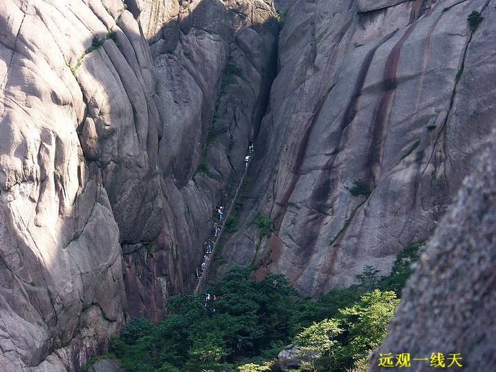 118_9592_缩小大小.JPG