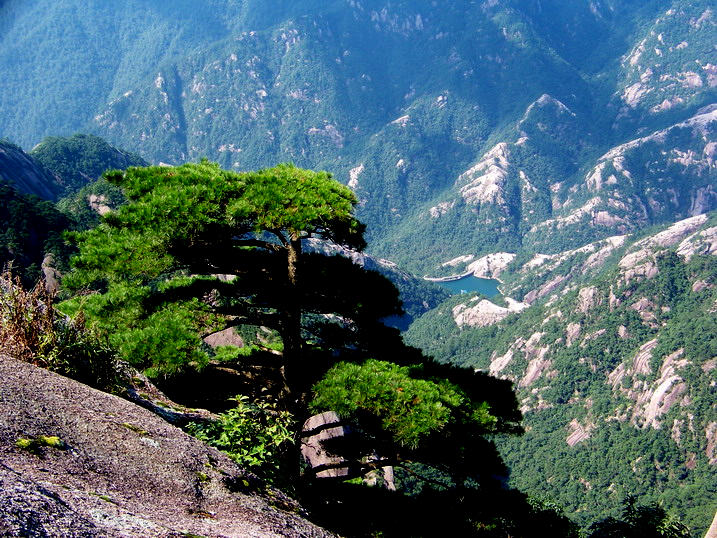 118_9593_缩小大小.JPG
