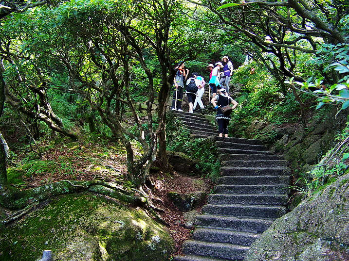 118_9598_缩小大小.JPG