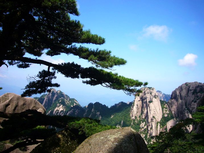 P1190001_缩小大小.JPG