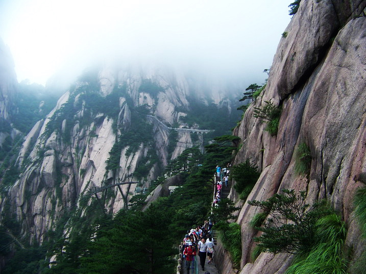 118_9644_缩小大小.JPG