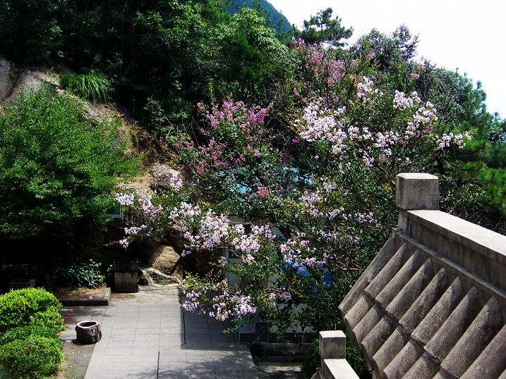 118_9654_缩小大小.JPG