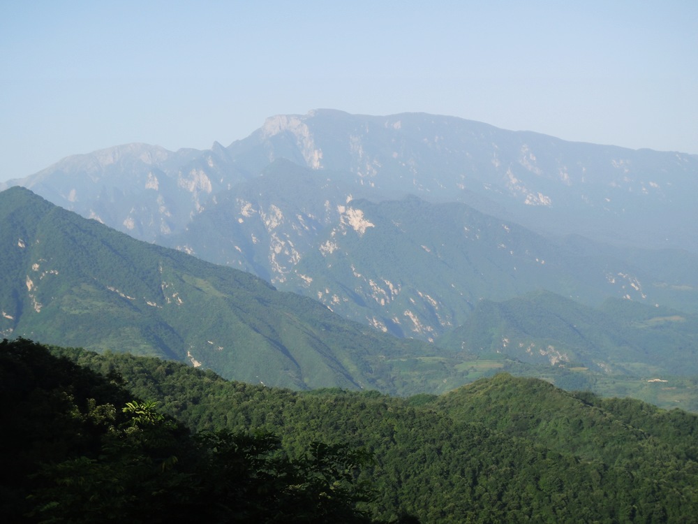 DSC04720.jpg