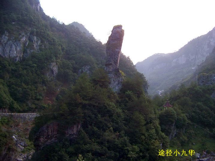 118_9742_缩小大小.JPG