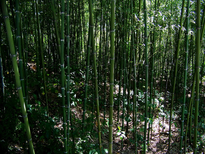 118_9831_缩小大小.JPG