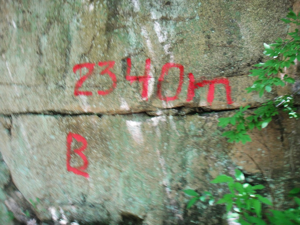 DSC04761.jpg