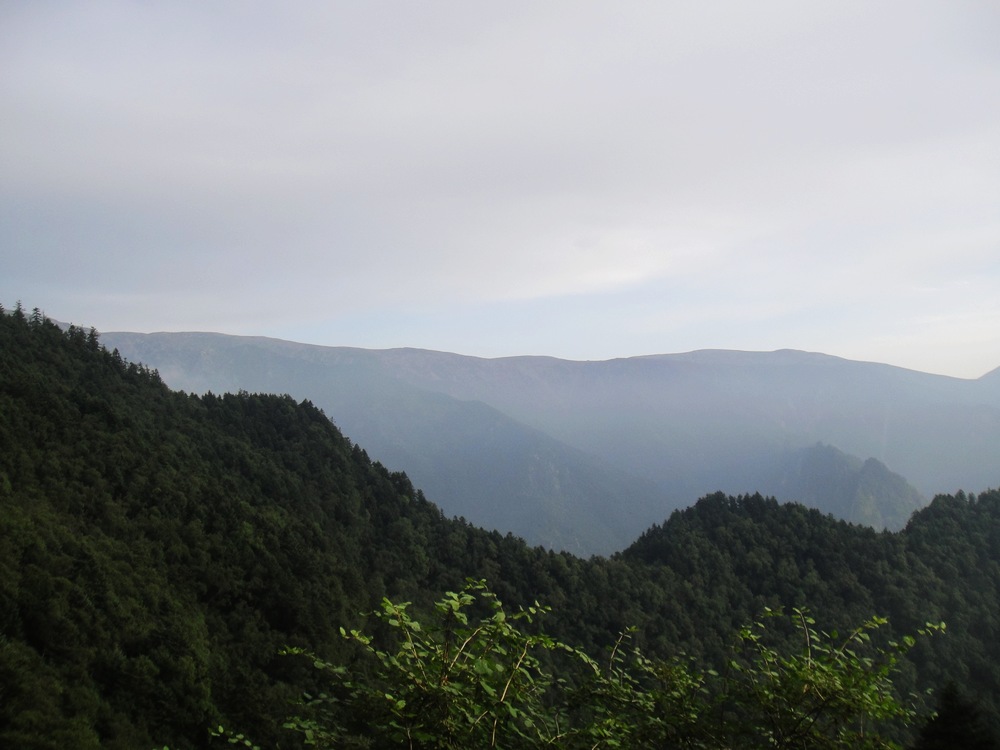 DSC04808.jpg
