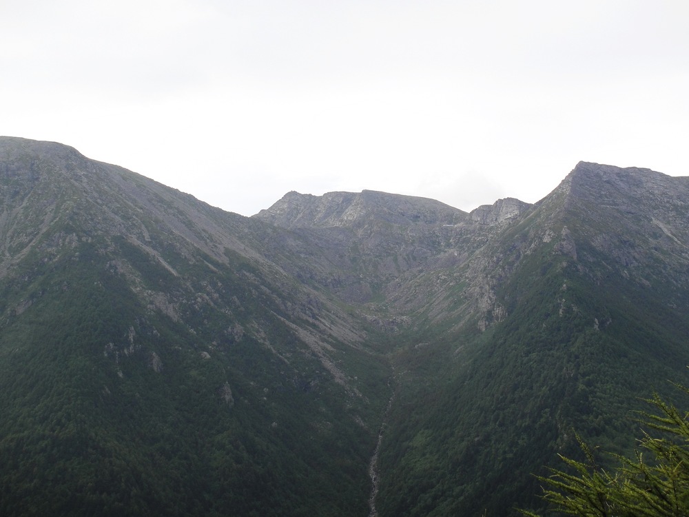 DSC04819.jpg