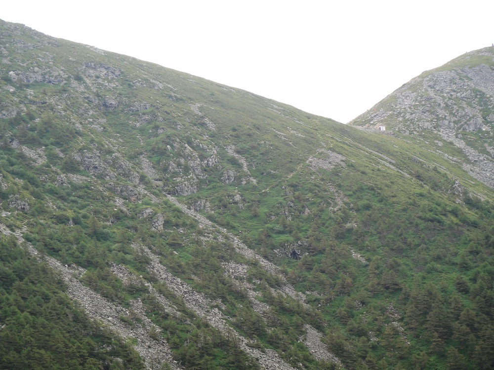 DSC04824.jpg