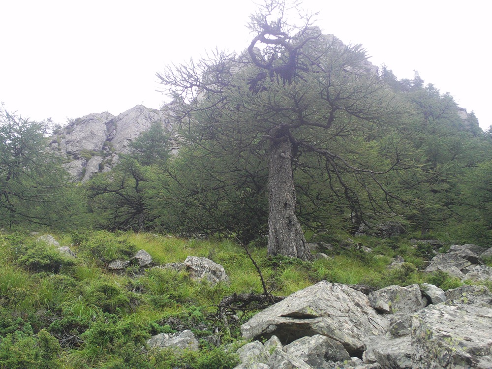 IMAG0169.JPG