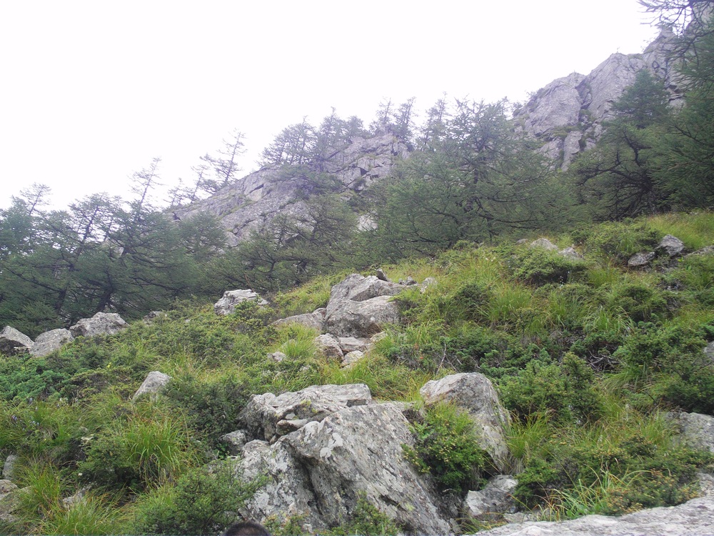 IMAG0171.JPG