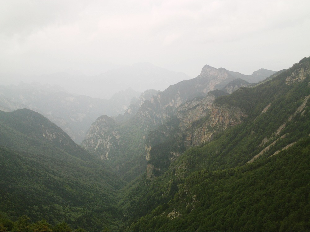IMAG0178.JPG