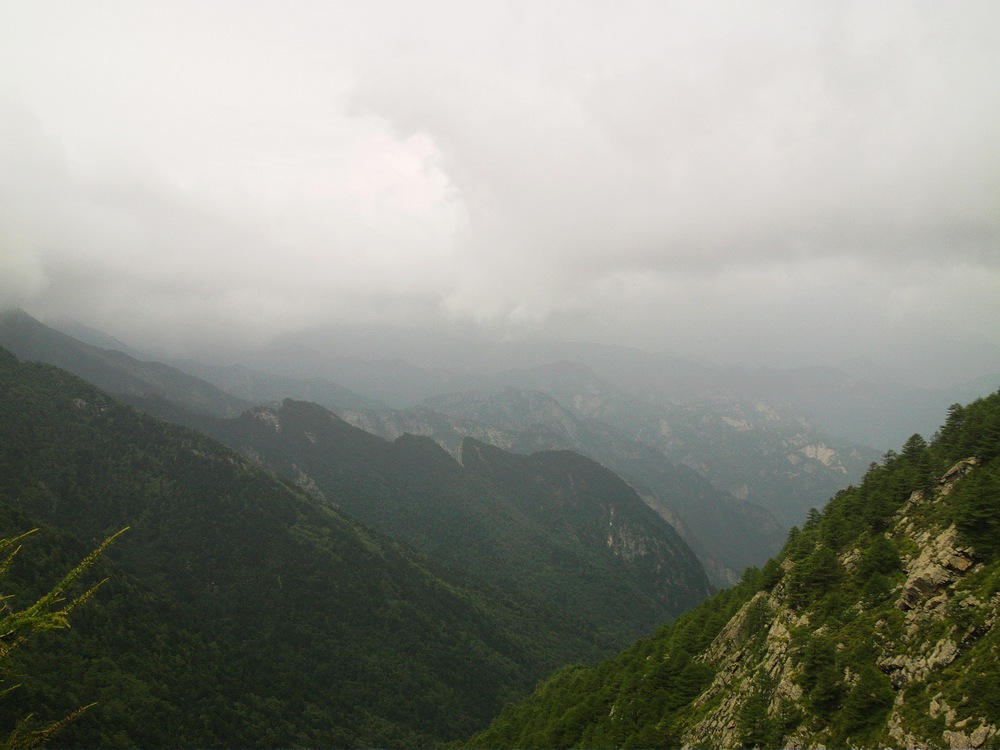 IMAG0176.JPG