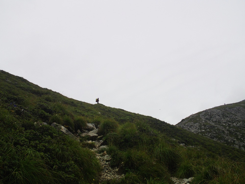 IMAG0183.JPG