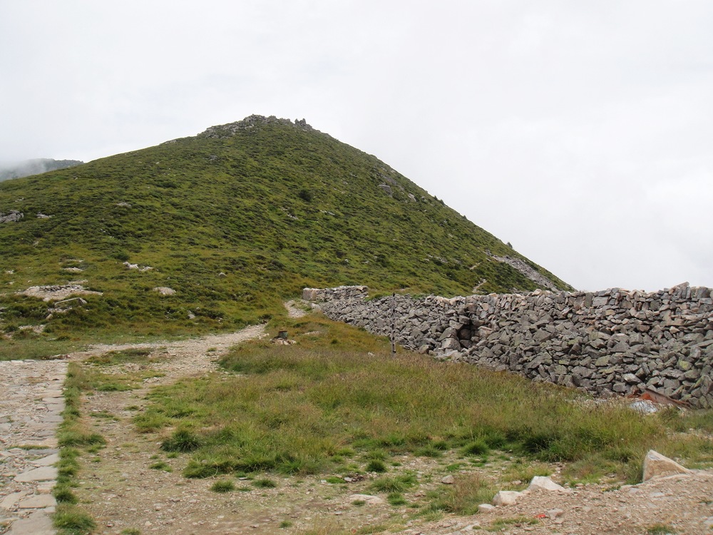 DSC04828.jpg