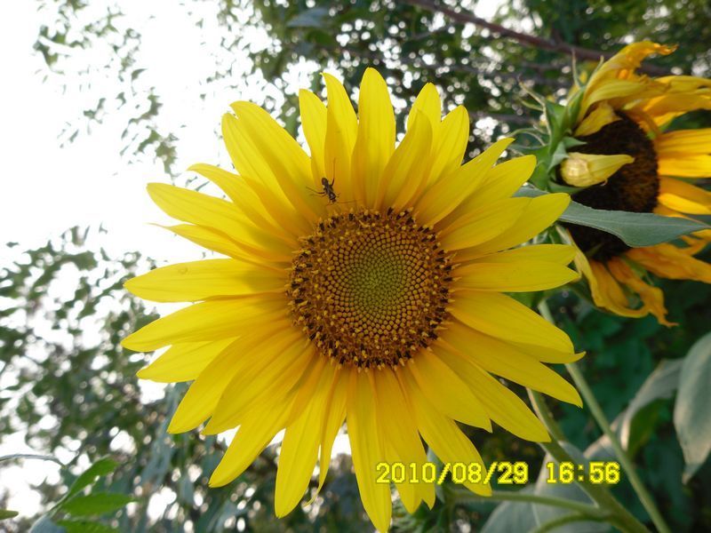 SAM_0144.JPG