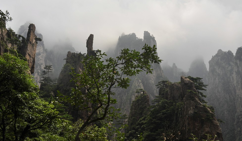 黄山 (259).jpg