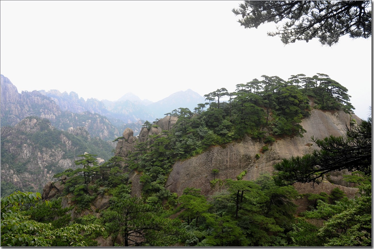 黄山 (591).jpg