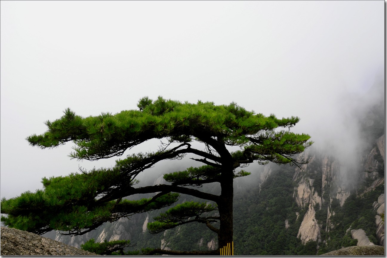 黄山 (548).jpg
