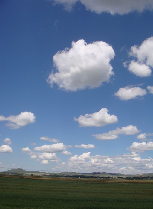 DSC05091.jpg