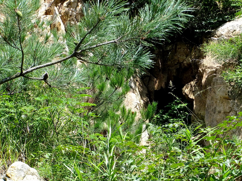 DSCF2862.jpg