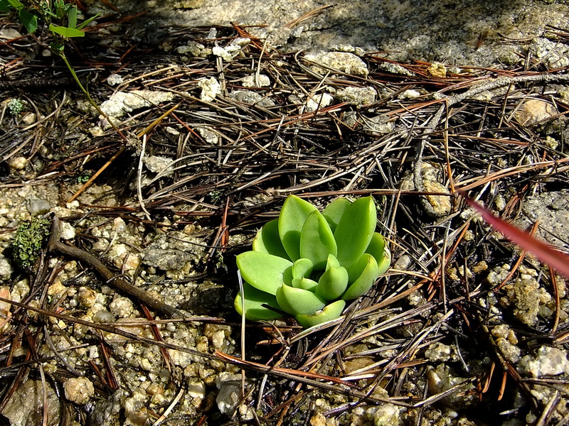 DSCF2878.jpg