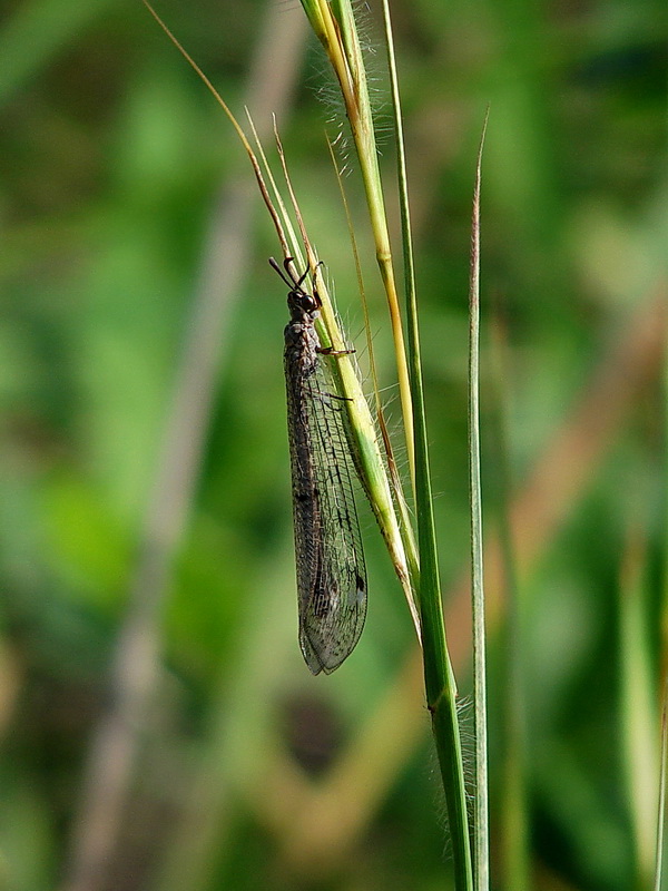 DSC07346.jpg
