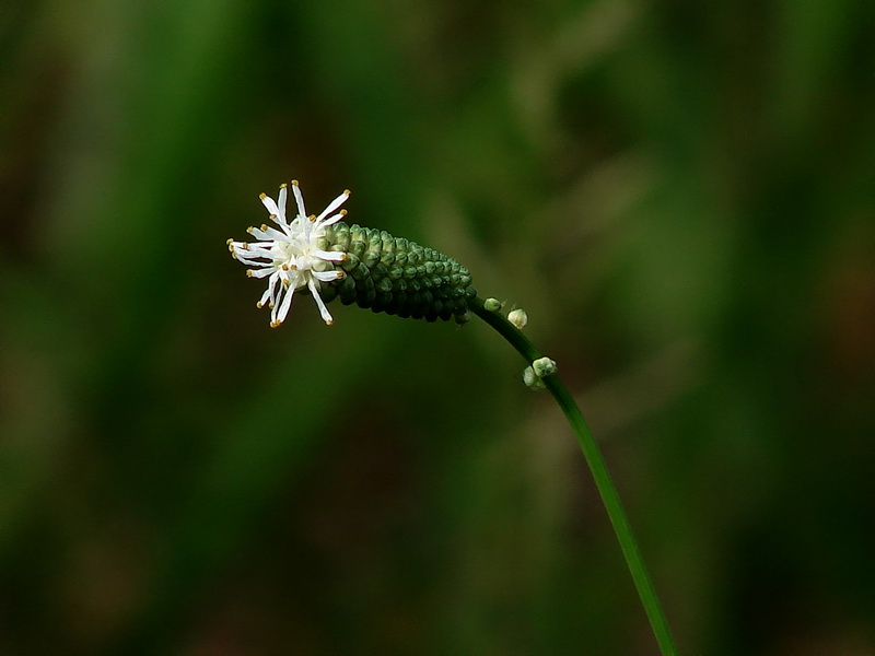 DSC07372.jpg